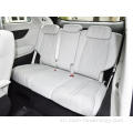 4WD Luxury New Brand Vehicle Electric Car Mpv Xpeeng X9 6-Seat Space Space EV Mota